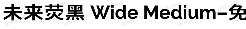未来荧黑 Wide Medium字体转换